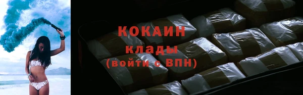 кокс Елизово