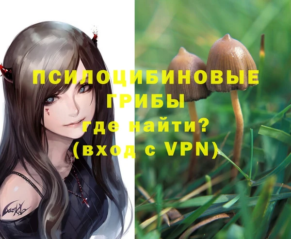 кокс Елизово