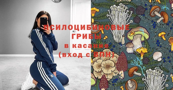 молекула духа Заволжск