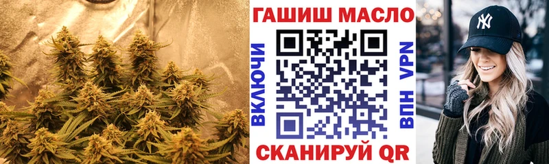 Купить где  Ивантеевка  Дистиллят ТГК концентрат 